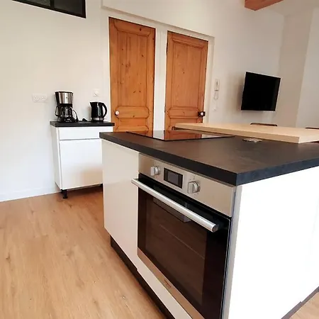 Classe 4 Etoiles - Cybele - Centre 2 Chambres, Cour Privative Et Garage * Vienne (Isere)