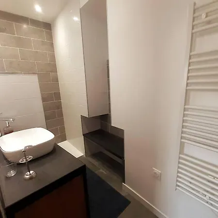 Classe 4 Etoiles - Cybele - Centre 2 Chambres, Cour Privative Et Garage Vienne (Isere)