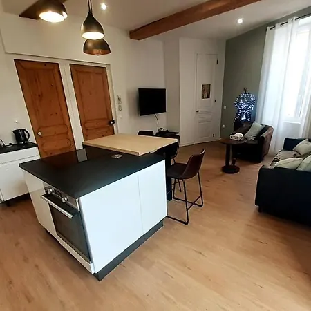 Classe 4 Etoiles - Cybele - Centre 2 Chambres, Cour Privative Et Garage * Vienne (Isere)